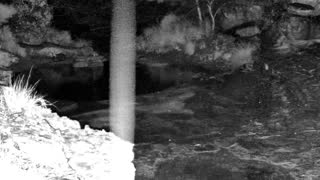 Still 1 from this detection