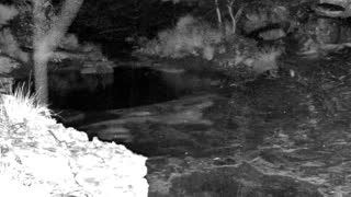 Still 3 from this detection