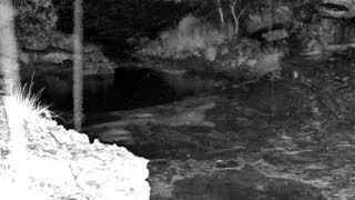 Still 1 from this detection