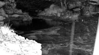 Still 3 from this detection