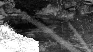 Still 2 from this detection