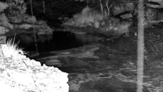 Still 2 from this detection