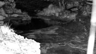 Still 2 from this detection