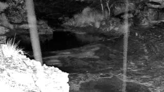 Still 1 from this detection
