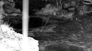 Still 1 from this detection