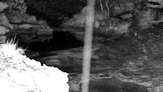 Still 1 from this detection