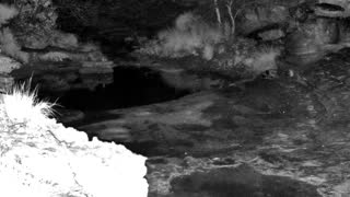 Still 2 from this detection