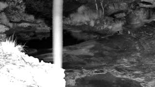 Still 1 from this detection