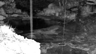 Still 1 from this detection