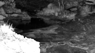 Still 1 from this detection