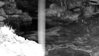 Still 2 from this detection