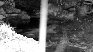 Still 3 from this detection