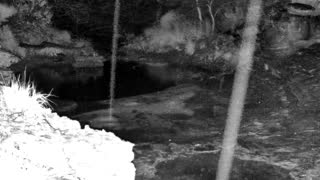 Still 2 from this detection