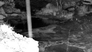 Still 1 from this detection