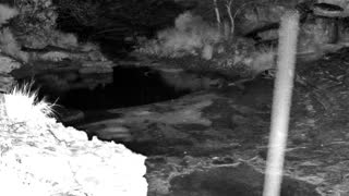 Still 2 from this detection