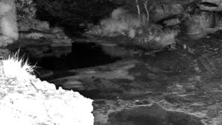 Still 1 from this detection