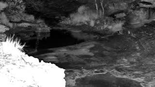 Still 2 from this detection