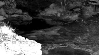Still 1 from this detection