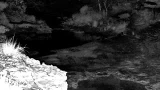 Still 1 from this detection