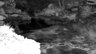 Still 1 from this detection