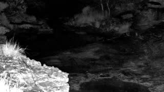 Still 1 from this detection