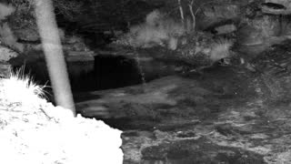 Still 1 from this detection
