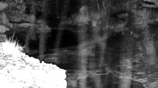 Still 1 from this detection