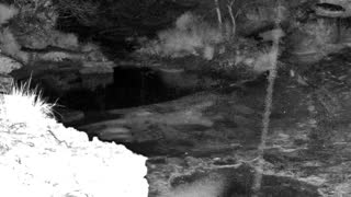 Still 2 from this detection