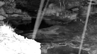 Still 3 from this detection