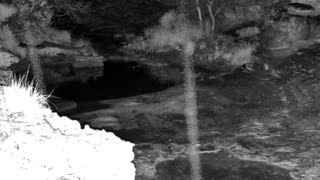 Still 2 from this detection