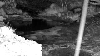 Still 2 from this detection