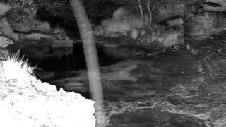 Still 2 from this detection