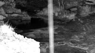 Still 1 from this detection