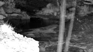 Still 3 from this detection