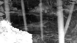 Still 1 from this detection