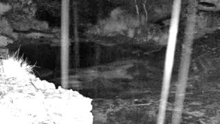 Still 2 from this detection