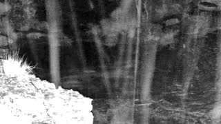 Still 2 from this detection