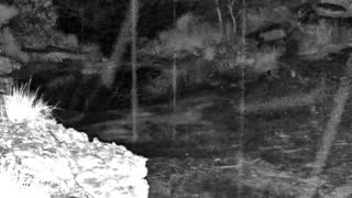 Still 3 from this detection