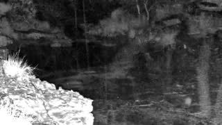 Still 1 from this detection