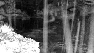 Still 2 from this detection