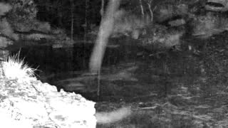 Still 3 from this detection