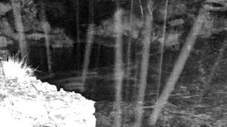 Still 1 from this detection