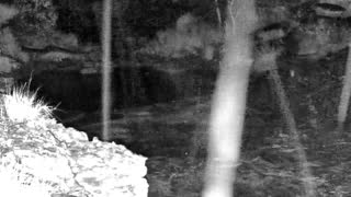 Still 3 from this detection