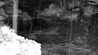 Still 1 from this detection