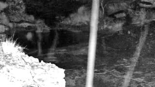Still 3 from this detection