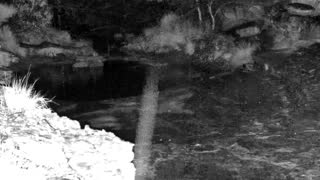 Still 3 from this detection