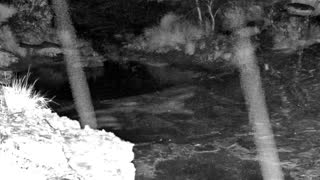 Still 2 from this detection