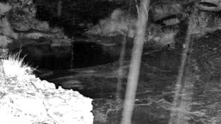 Still 2 from this detection