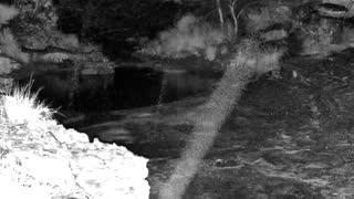 Still 1 from this detection