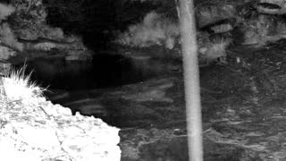 Still 2 from this detection